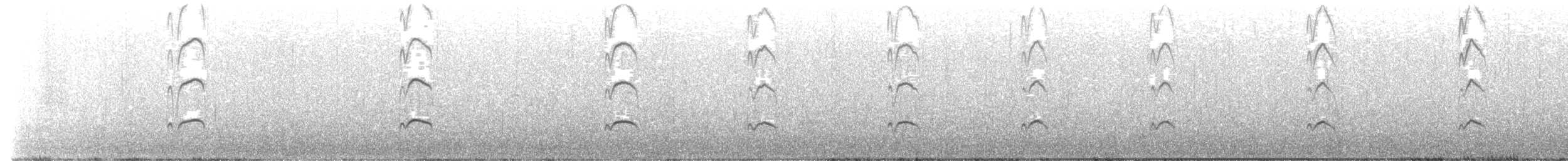 Huîtrier de Finsch - ML493236011