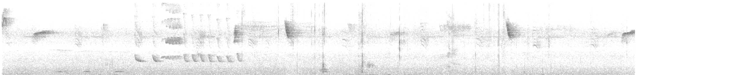 Белокрылый бекард - ML493247251