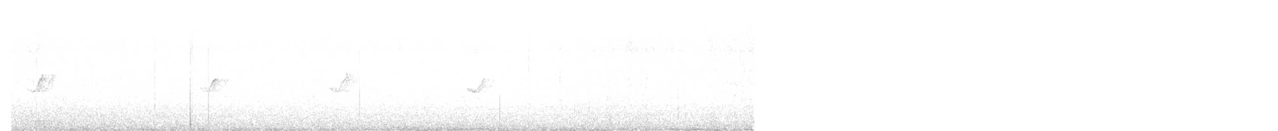 Common Chiffchaff (Common) - ML493395361