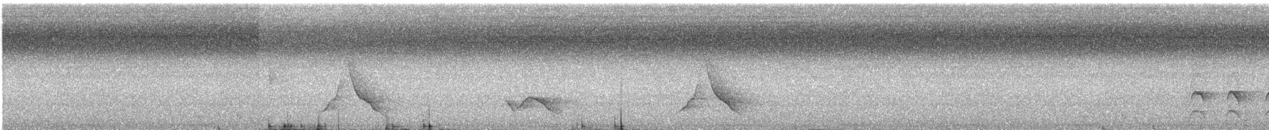 Black-winged Monarch - ML49339691