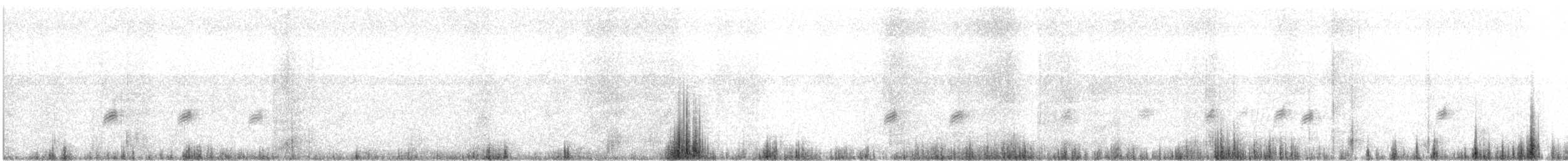 Weißflügelgimpel - ML493402091