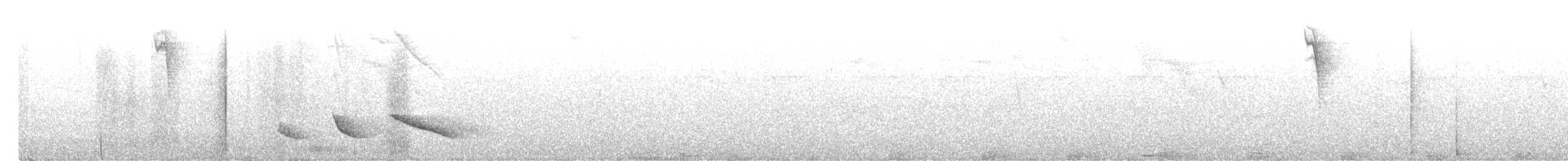 Зернолуск смугастоволий - ML493404311