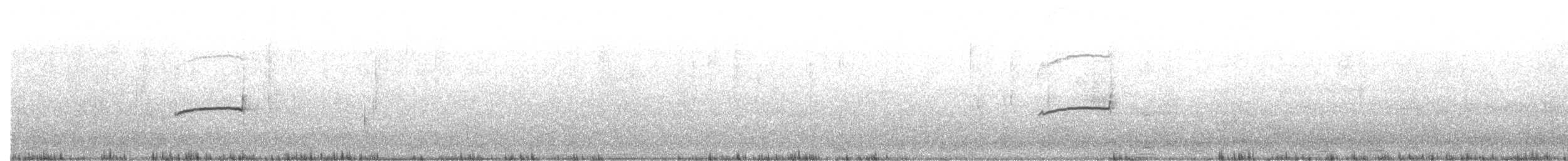 Güneyli Bıyıksız Tiranulet [obsoletum grubu] - ML493415101
