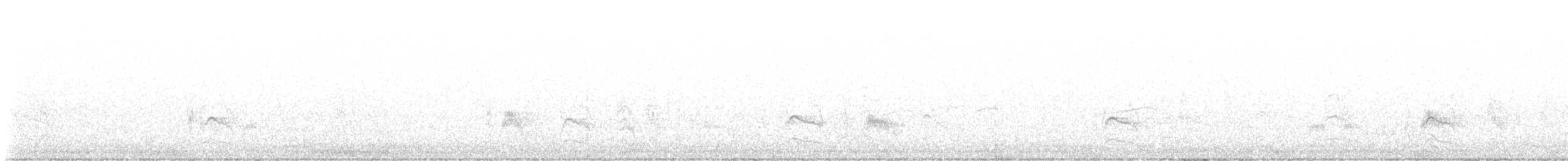 Серогрудый тиранн - ML493477011