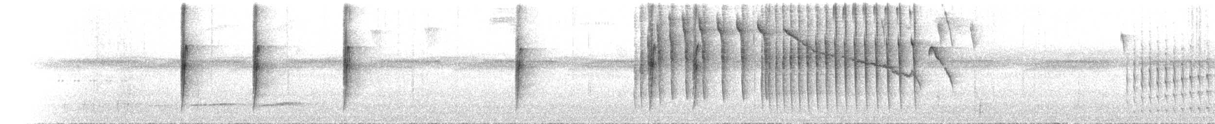 Pacific Tuftedcheek - ML493522951