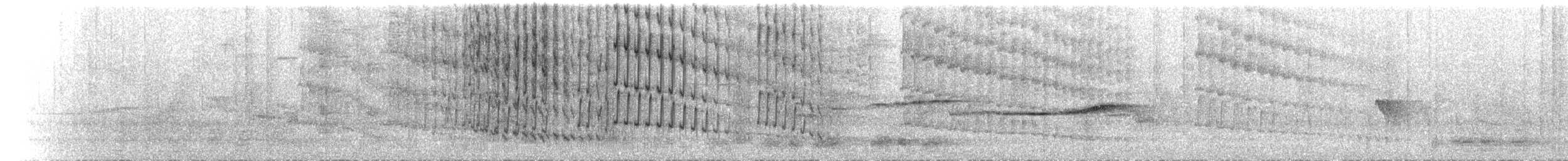 Rotschenkel-Flaggensylphe (annae) - ML493534211