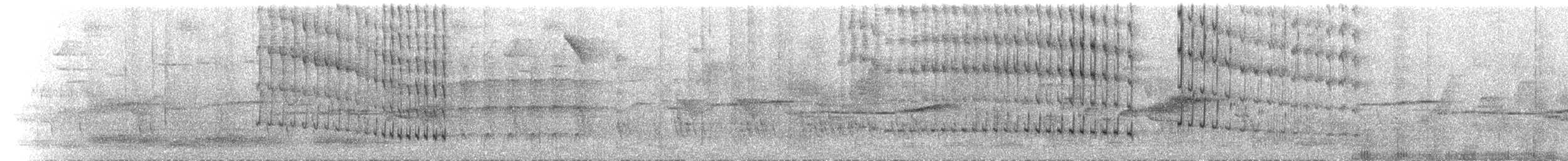 Колібрі-пухоніг болівійський (підвид annae) - ML493534221
