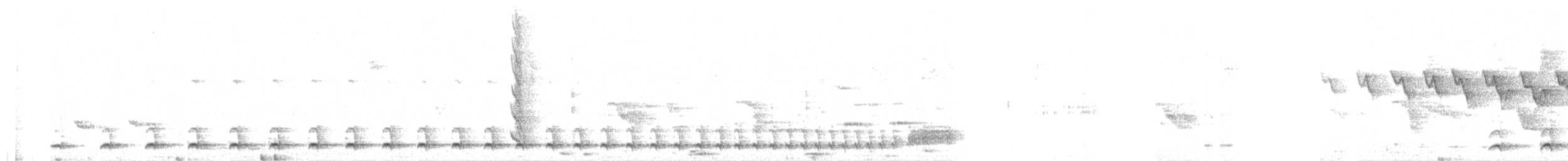 Weißbrust-Ameisenwürger - ML493536571
