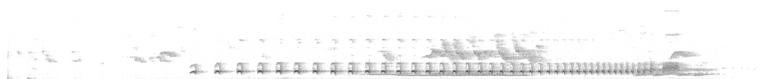 Weißbrust-Ameisenwürger - ML493536581
