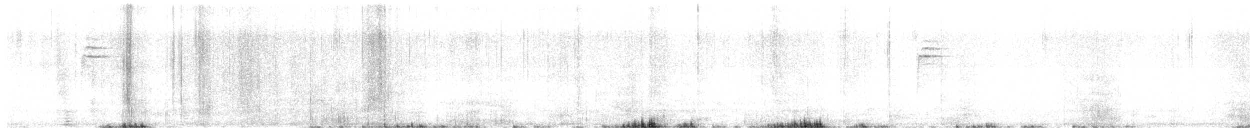 Paruline à paupières blanches - ML493630851