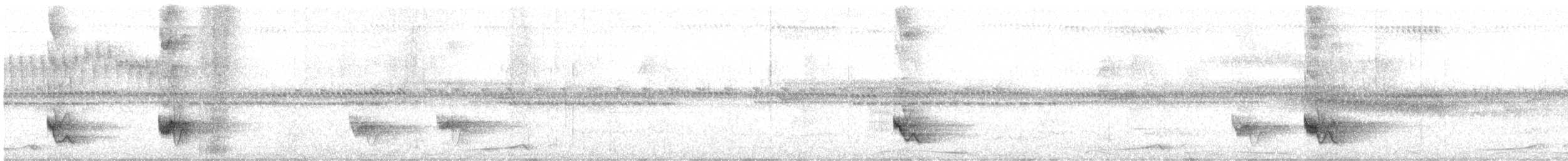 Swallow-tailed Manakin - ML493649631