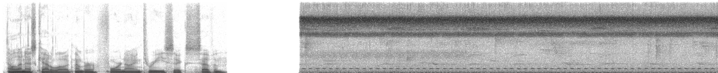 Рораймская совка (roraimae) - ML49367