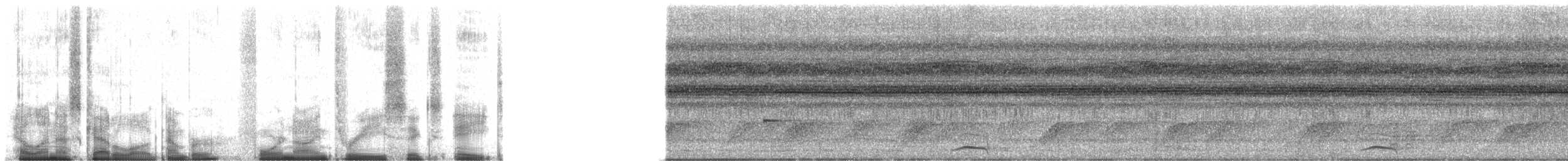 Рораймская совка (roraimae) - ML49368