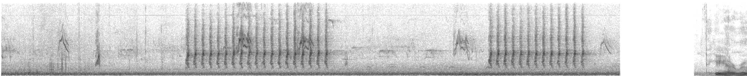 ub. fjellfink (Leucosticte sp.) - ML493688791