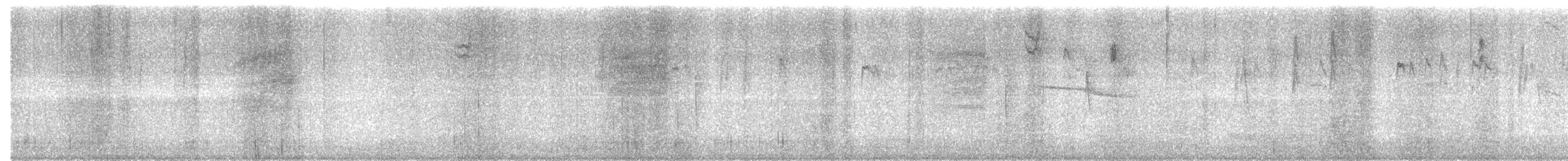 Buztanluze amerikarra - ML493737031