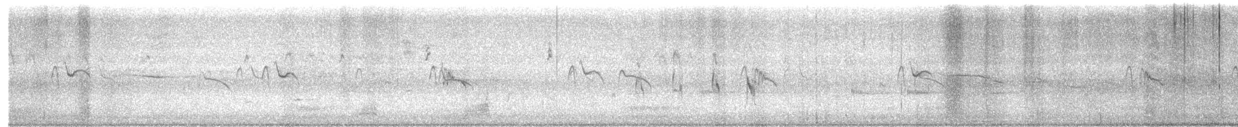 Black Phoebe - ML493737101