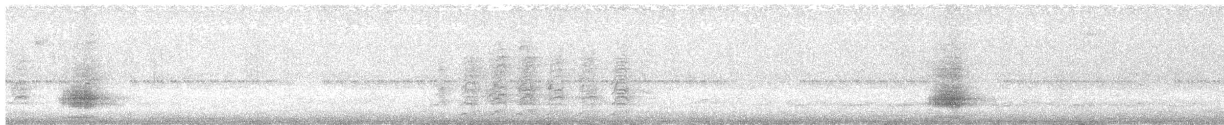 Toucan à ventre rouge - ML493749471