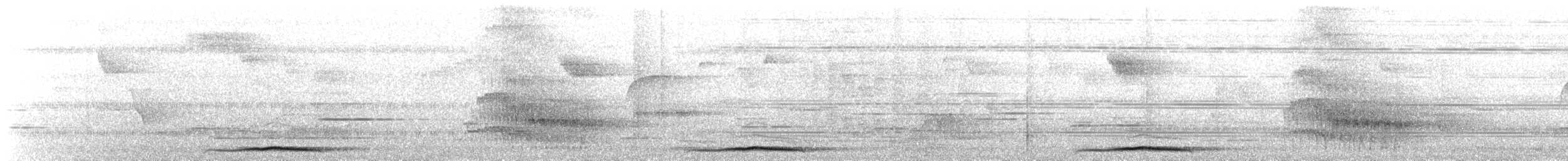 Веракрусская перепелиная горлица - ML49378221