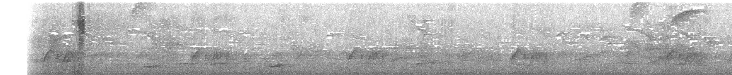 Çizgili Büyük Tiran - ML493813081