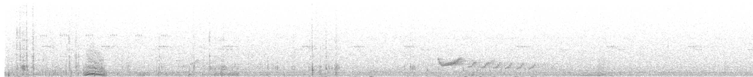 Little Nightjar - ML493848801