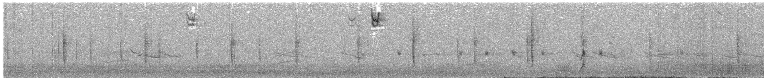 revespurv (unalaschcensis gr.) (sotrevespurv) - ML493861871