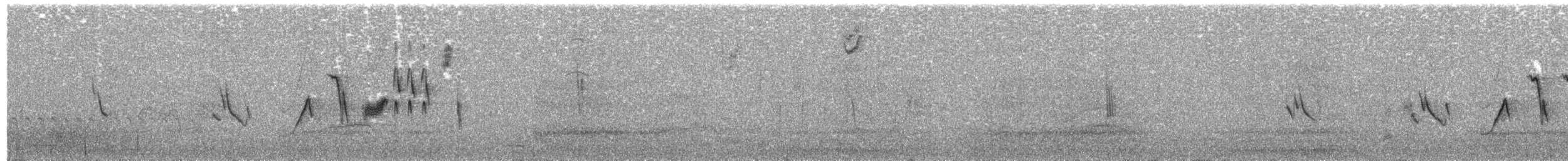 strnadec kaštanový [skupina unalaschcensis] - ML493861881