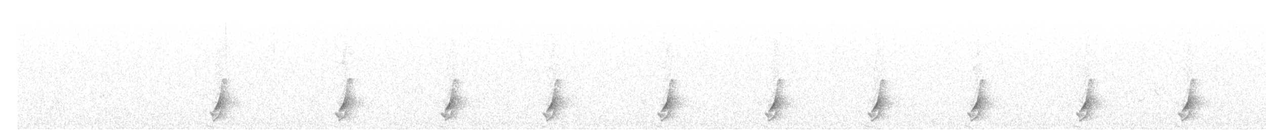 斑胸秧雞 - ML493888831