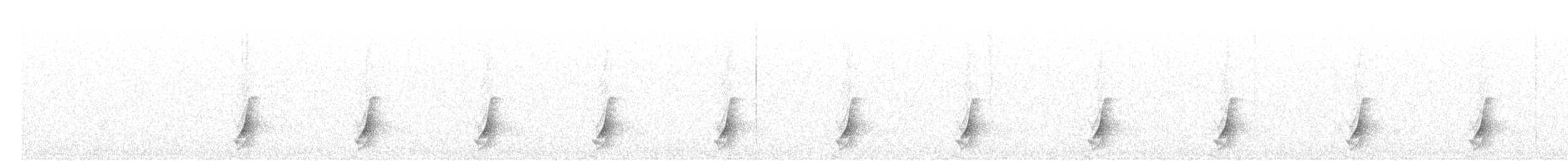斑胸秧雞 - ML493888841