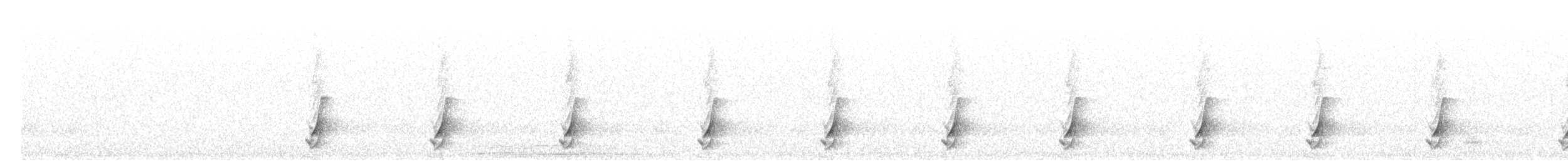 斑胸秧雞 - ML493888851