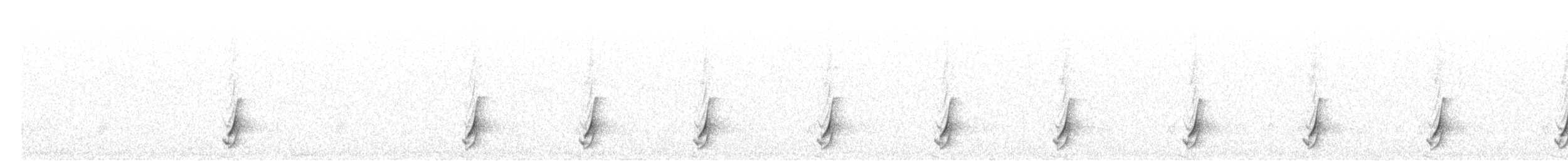 斑胸秧雞 - ML493888881