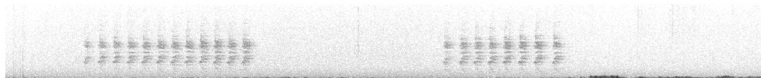 White-streaked Honeyeater - ML493891441