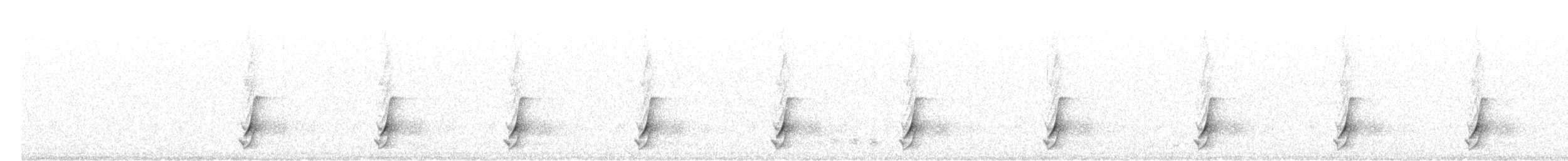 斑胸秧雞 - ML493898851