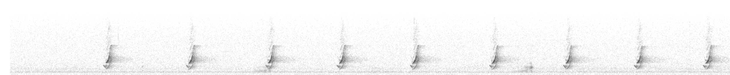 斑胸秧雞 - ML493898861