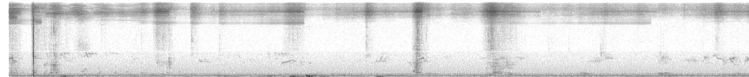 太平洋金斑鴴 - ML493902701