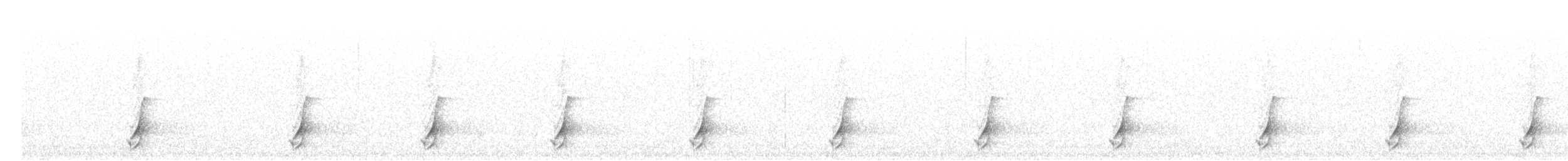 斑胸秧雞 - ML493909581
