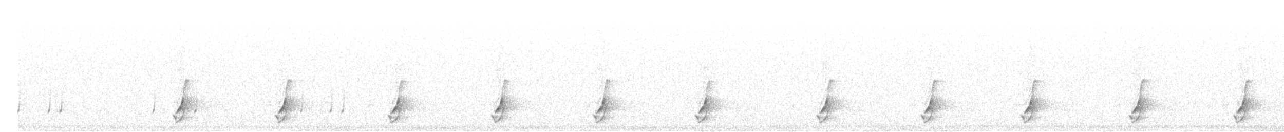 斑胸秧雞 - ML493909591
