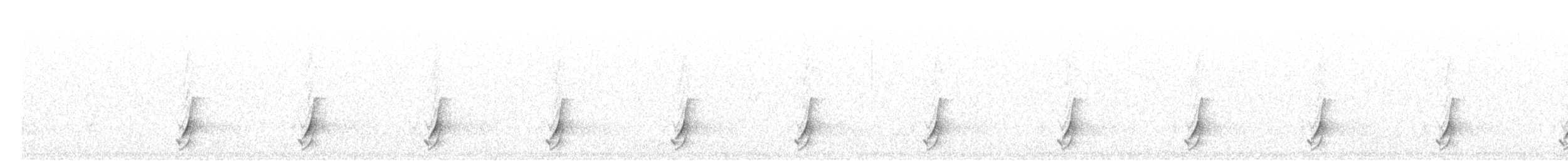 斑胸秧雞 - ML493909601