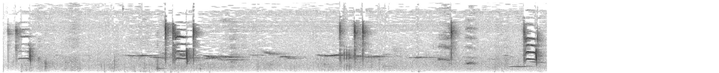 Grünmantel-Bogenflügel [brevicaudata-Gruppe] - ML49391641