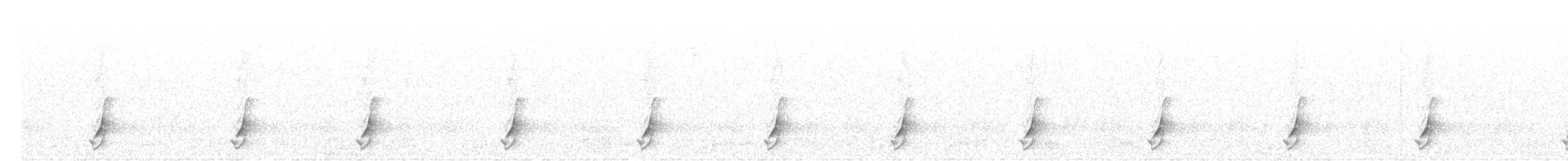 斑胸秧雞 - ML493917361