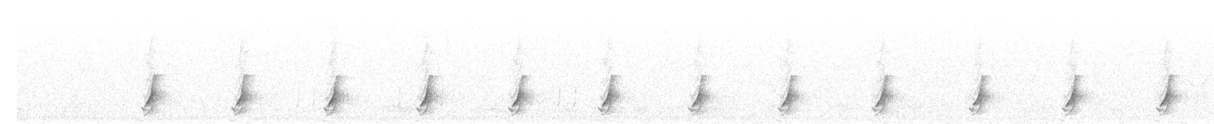 斑胸秧雞 - ML493917371