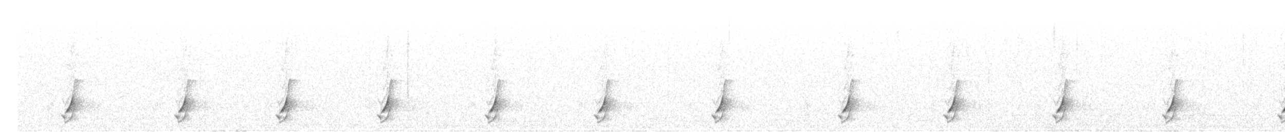 斑胸秧雞 - ML493917391