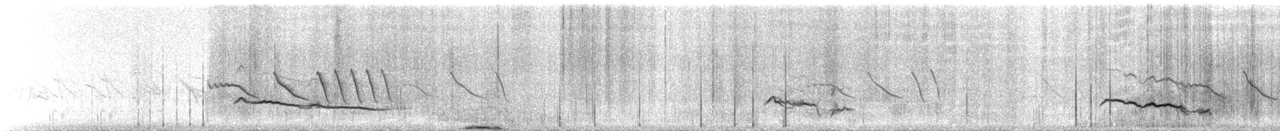 nandu menší (ssp. pennata) - ML49399691