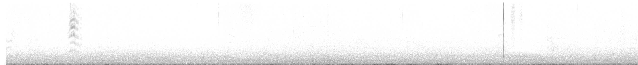 ボナパルトカモメ - ML494003831