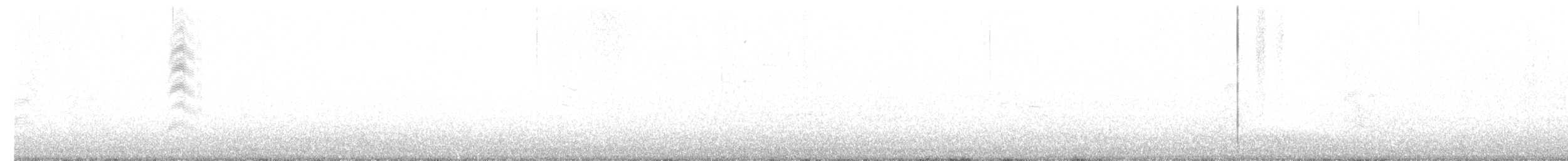 Bonaparte's Gull - ML494003831