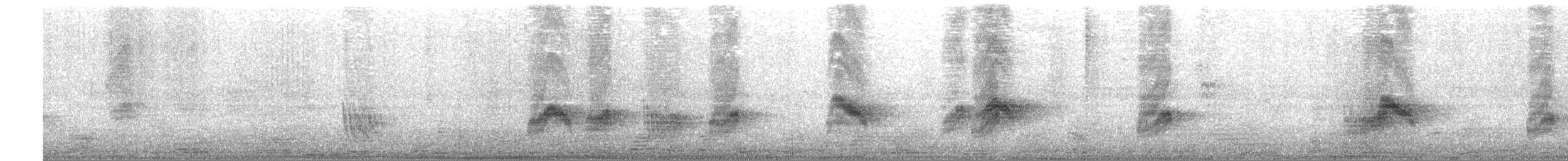 Hirondelle gracieuse - ML494047681