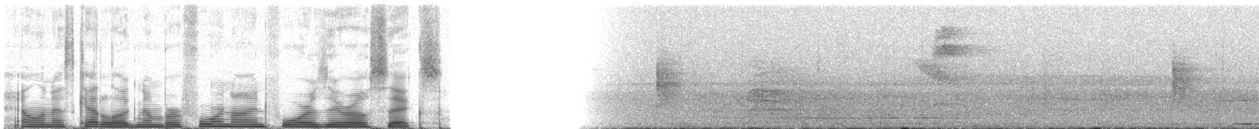 kragemaurvarsler (bernardi) - ML49406