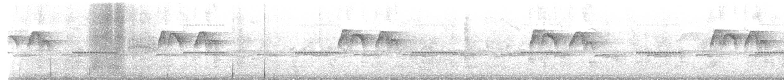 Тиран-крихітка білолобий - ML494060131