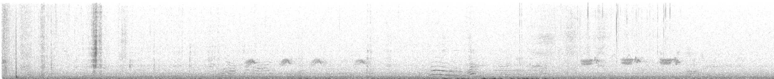 Boğmaklı Ardıç (torquatus) - ML494063491