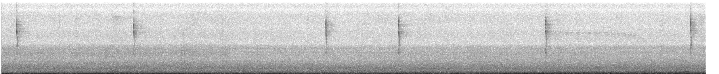Troglodyte de Baird - ML494091491
