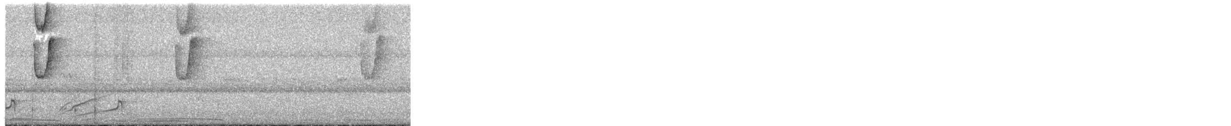 Солнечный колибри-отшельник - ML494127051